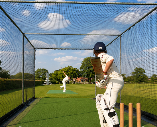 Cricket Pitch